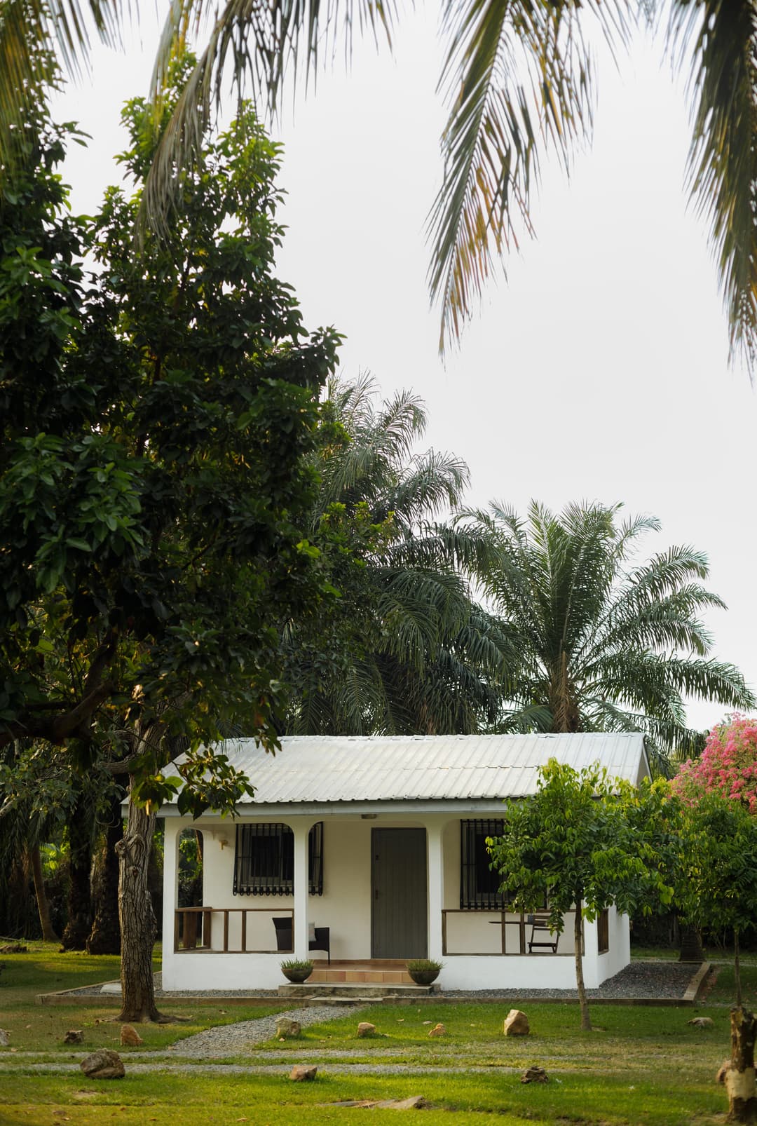 Cover image of River Cottage Ghana